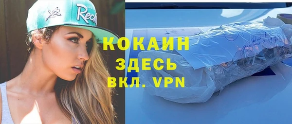 шишки Алзамай