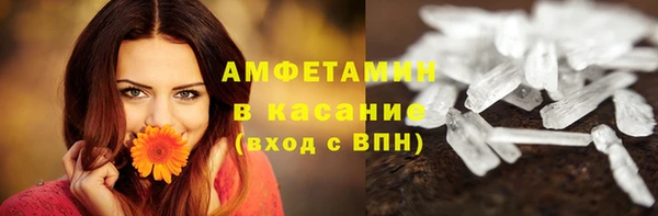 шишки Алзамай