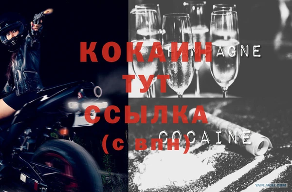 шишки Алзамай