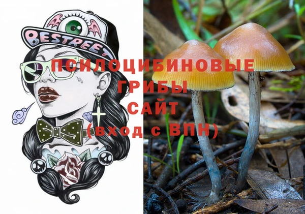 шишки Алзамай