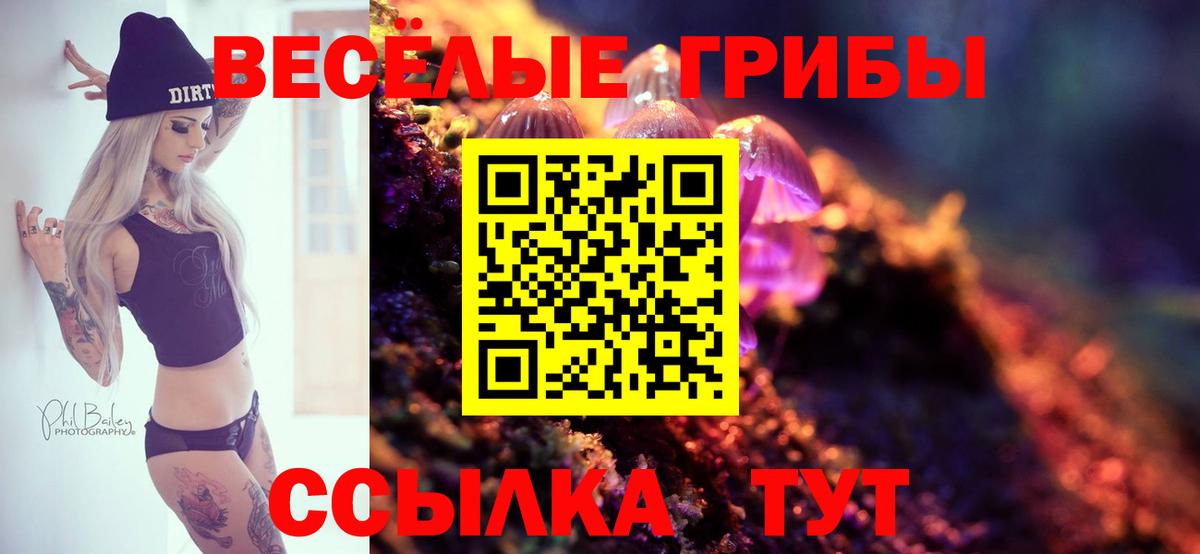 Псилоцибиновые грибы GOLDEN TEACHER Новоуральск