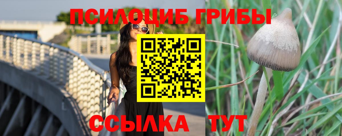 Псилоцибиновые грибы Psilocybe  Вход с VPN  где найти   Новоуральск 