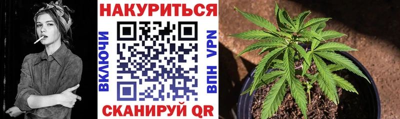 Шишки марихуана марихуана  магазин  наркотиков  Новоуральск 